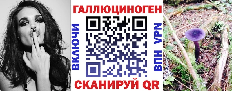 Псилоцибиновые грибы Psilocybine cubensis  блэк спрут ссылка  Новотроицк 