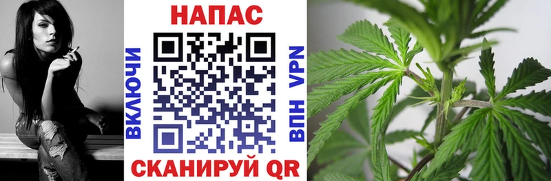 купить цена Новотроицк МАРИХУАНА сатива